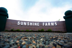 Sunshine Farms And Resort